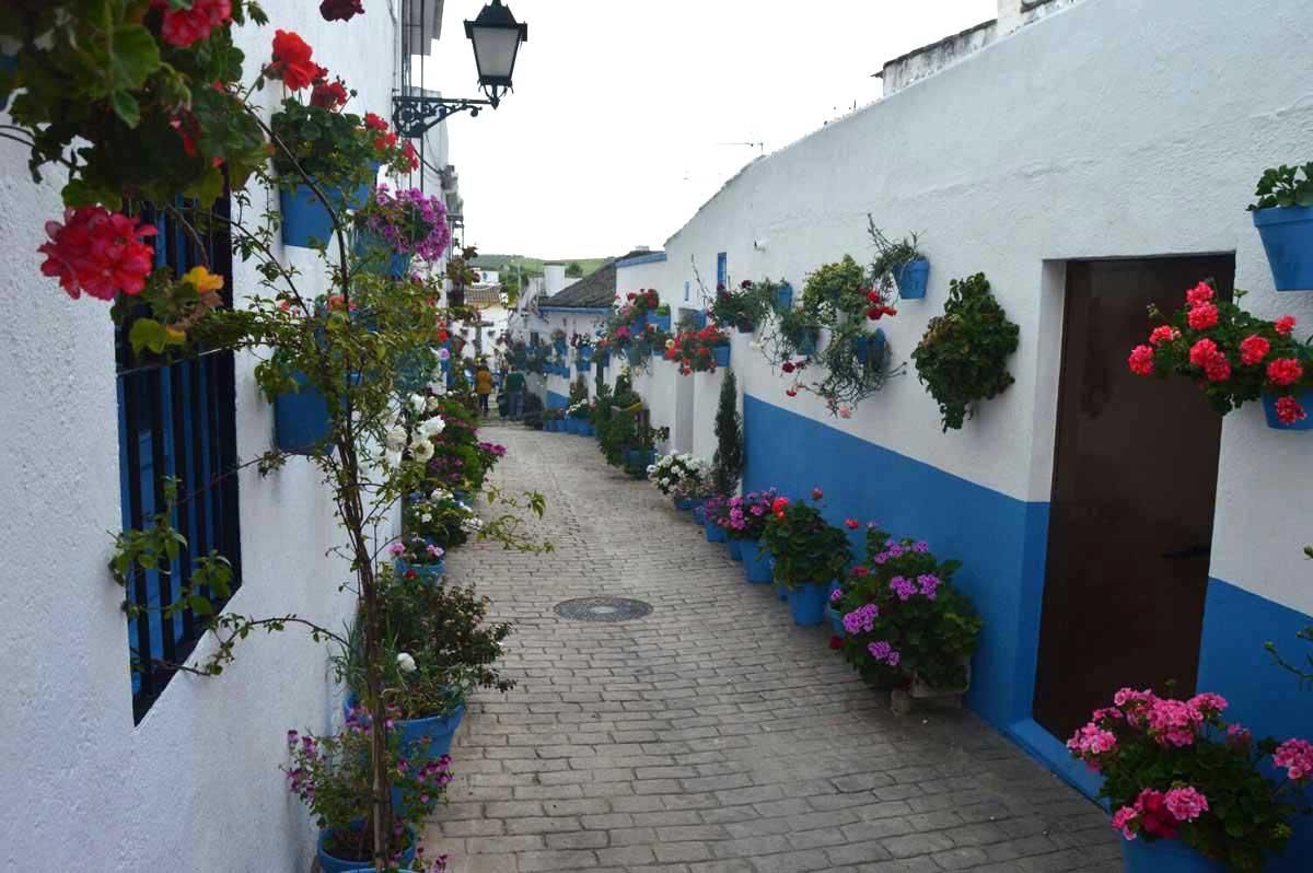 Las 'Calles en flor' de Cañete de las Torres