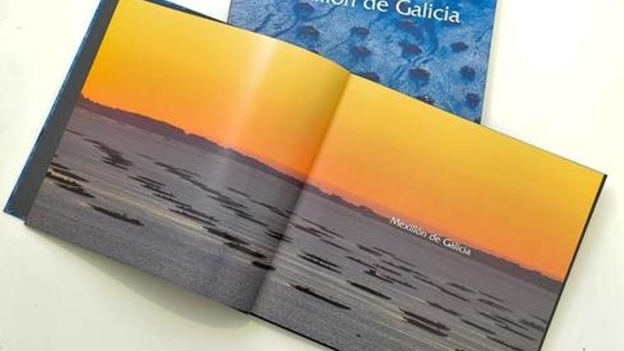 El libro de gastronomía de &quot;Mexillón de Galicia&quot;.