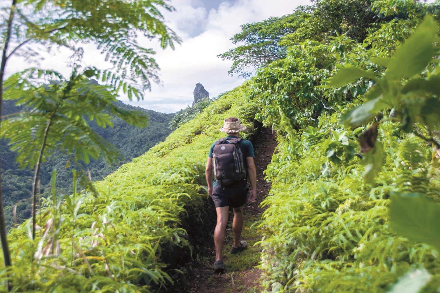 Cross Island Trek con The Needle al fondo.