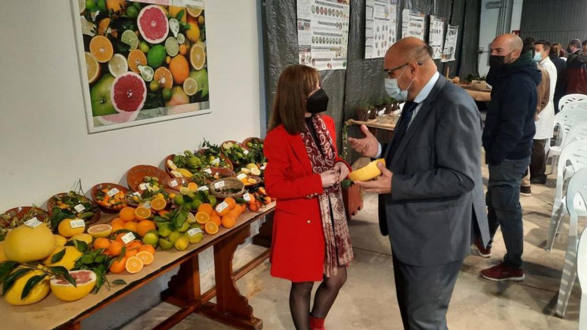 Remedios García y Víctor Serrano, asistieron al taller.  | CARM