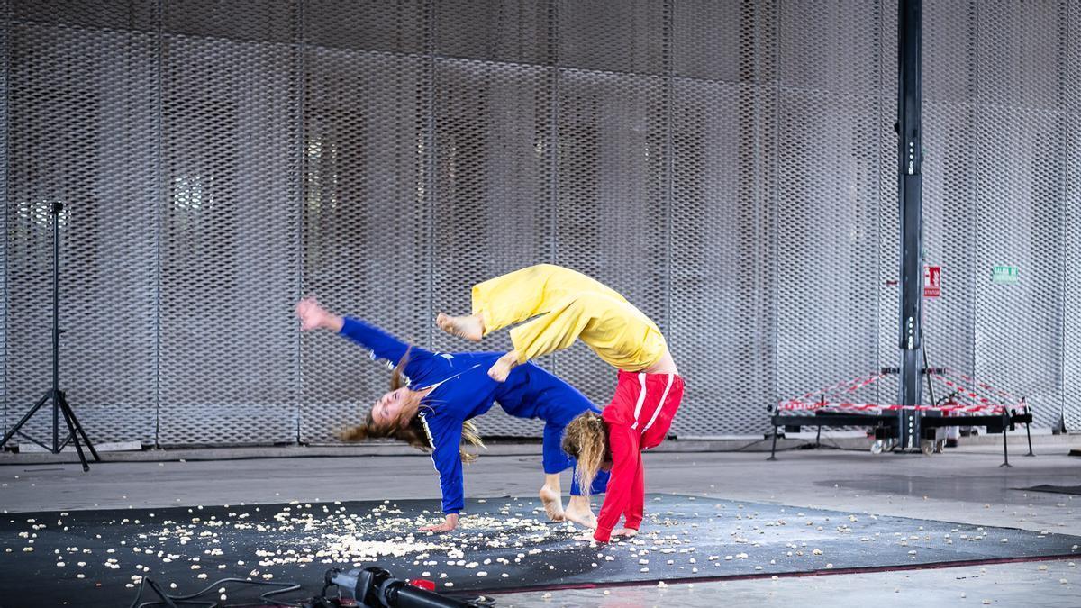 Festival Contorsions