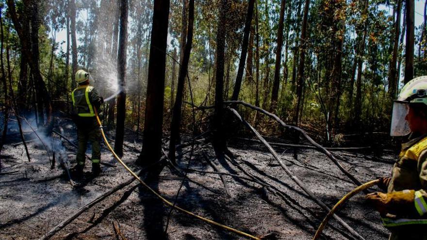 Agentes forestales trabajan en la extinción de un incendio (foto de archivo)