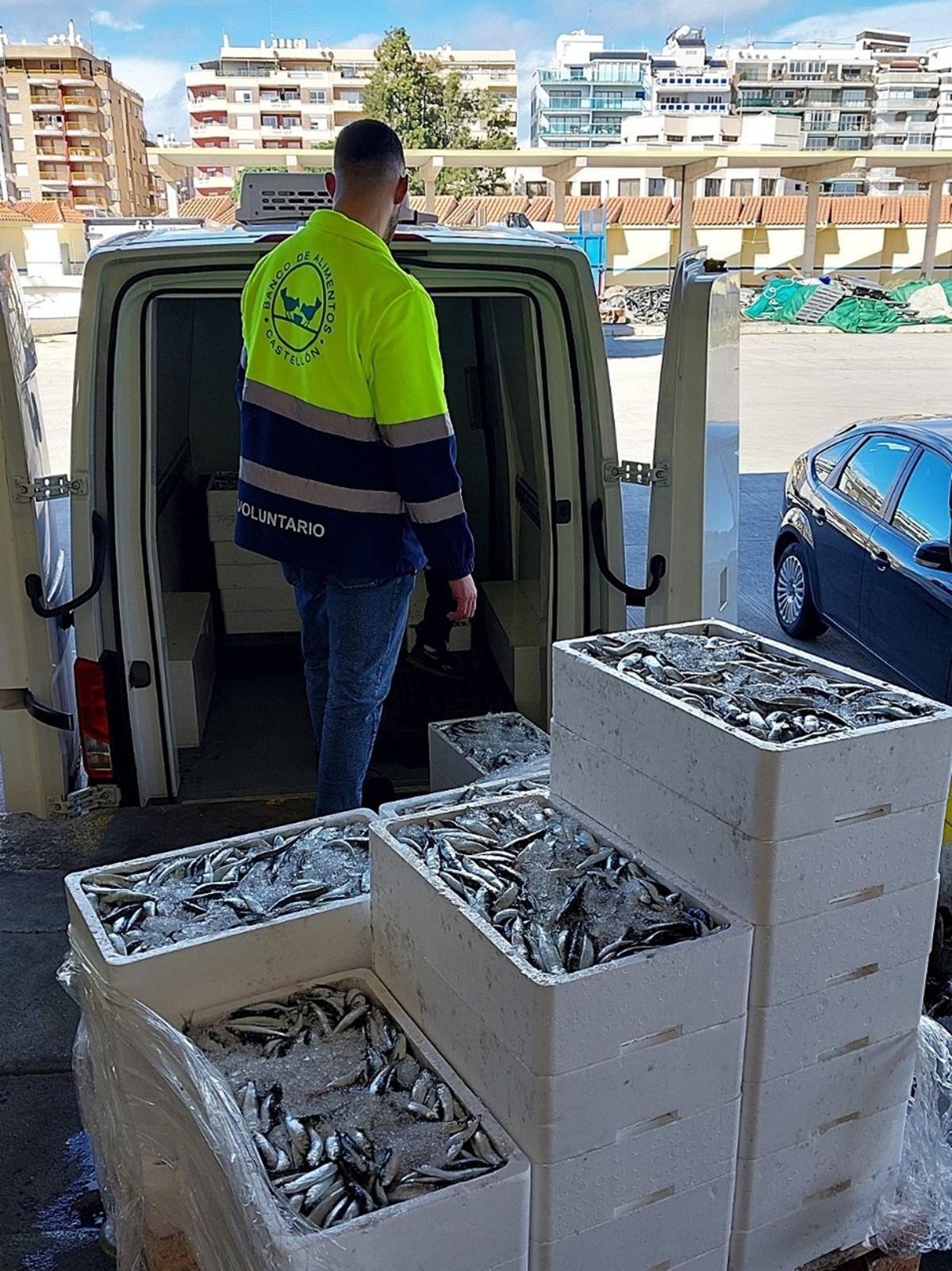 Un voluntario del Banco de Alimentos carga en una furgoneta la sardina incautada en Burriana.