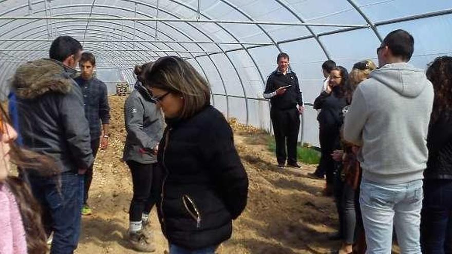 Alumnos de escuelas taller visitan el vivero provincial. Foto Diputación Provincial