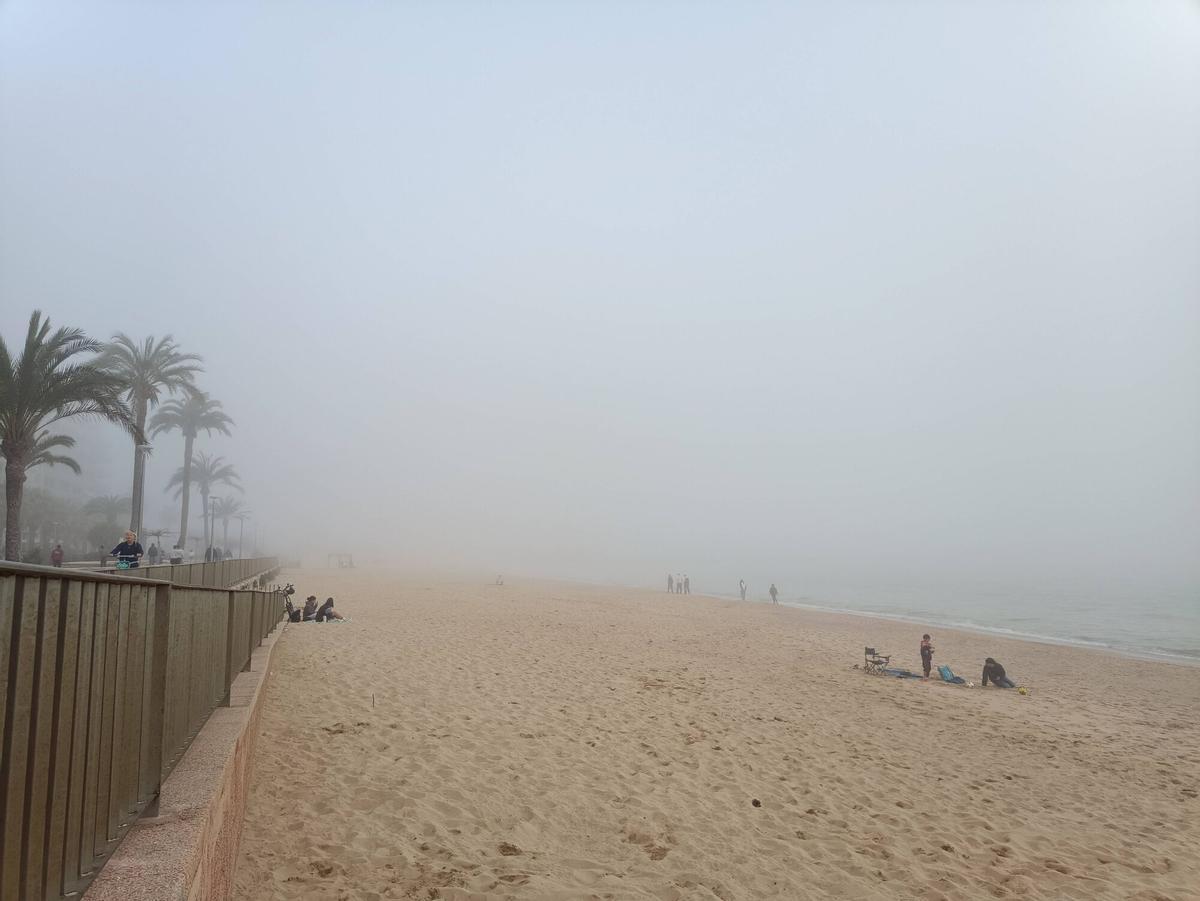 Las imágenes de la niebla en Mallorca