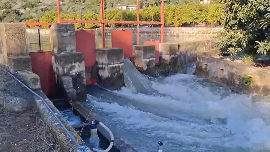 Agua a manta en la Bolata, el gran manantial de la Marina Alta (vídeo)