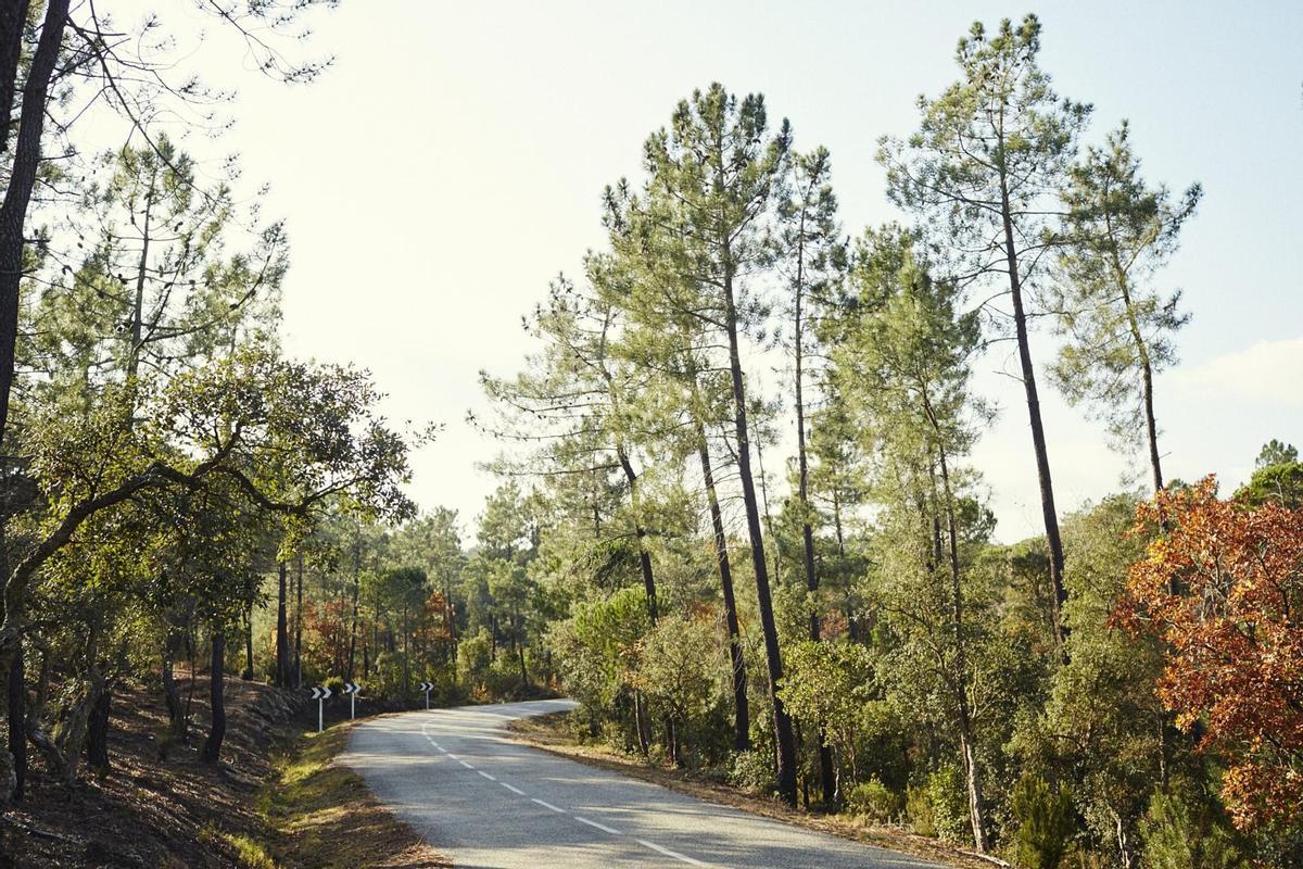 Carretera que recorre Ardenya y Gavarres.