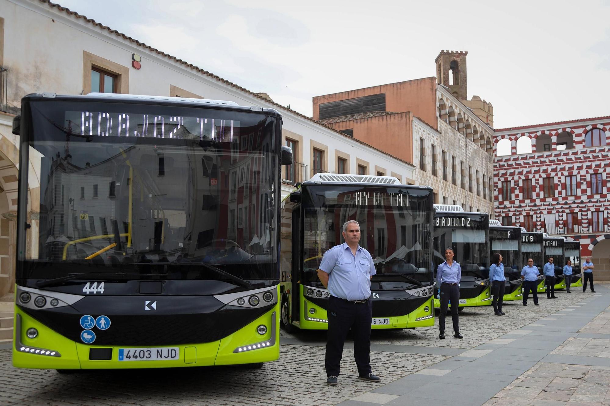 Los autobuses eléctricos que se incorporaron la semana pasada a la flota de Badajoz.