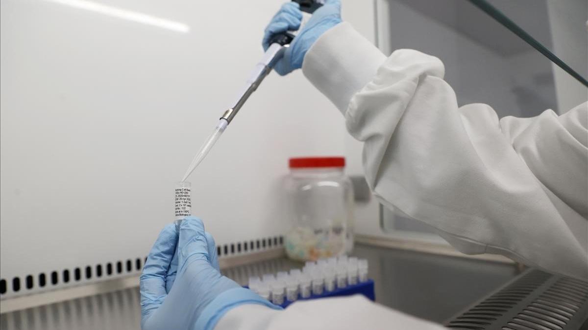 Un científico trabaja en una potencial vacuna contra el covid-19 en el laboratorio de una farmacéutica británica, el 30 de abril