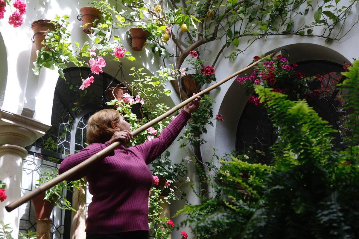 Preparativos de los patios el último día antes del inicio de la fiesta.