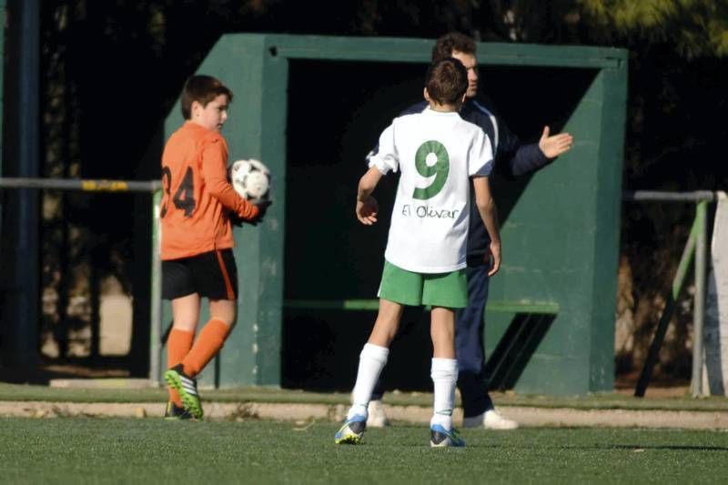 Olivar-Juventud (Infantil G-1)