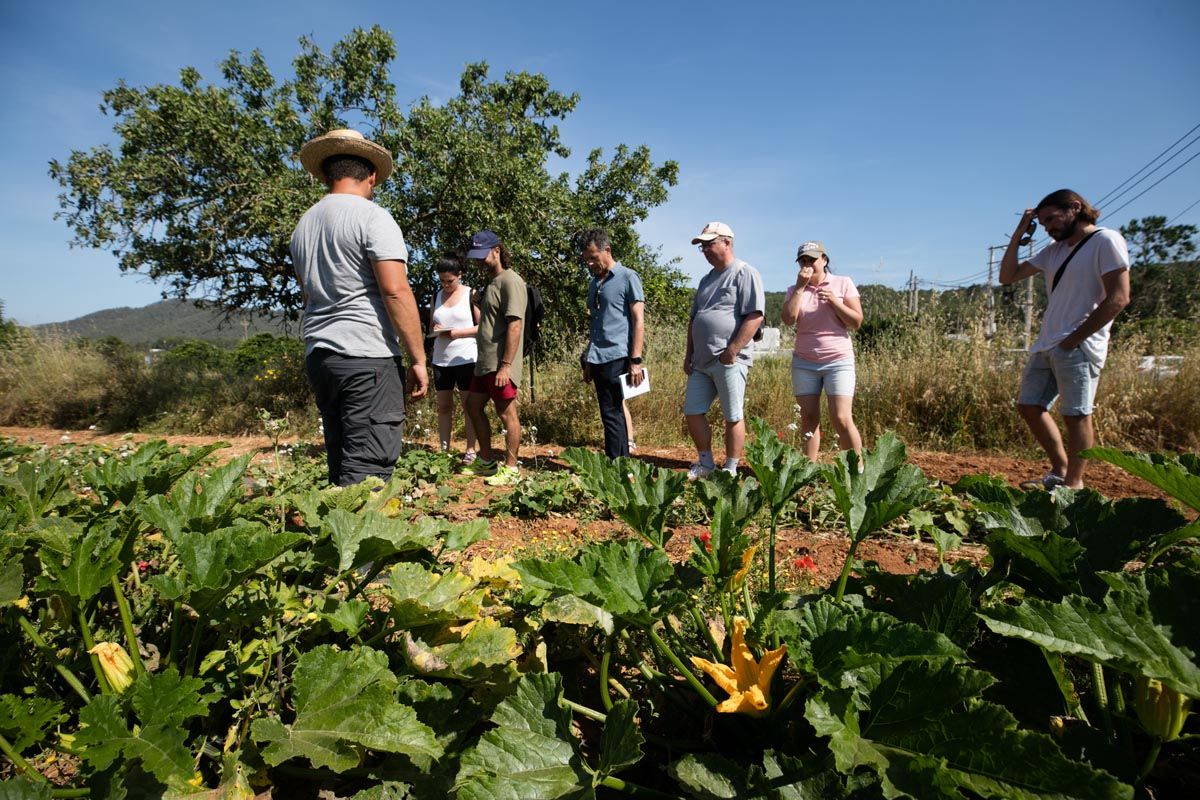 Finca ecológica Tierra de Ibiza