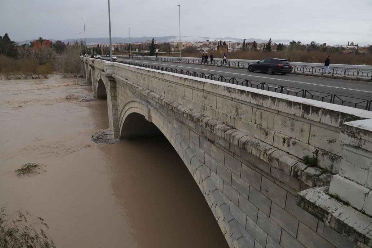 El Guadalquivir a su paso por Córdoba