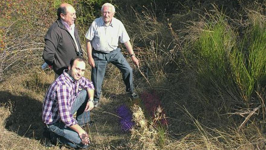 El secretario de la Comisión de la Memoria Histórica, con Germán Mayora y Ángel Balbuena de pie.