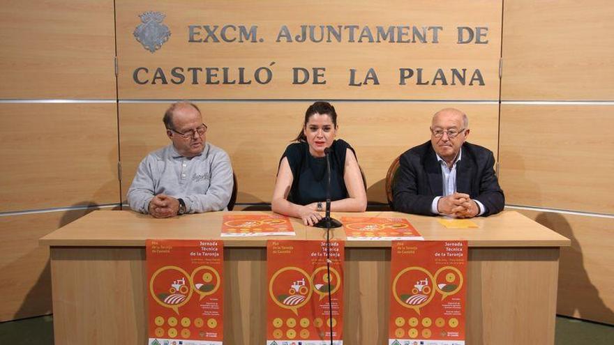 El sector citrícola, a debate en Castellón