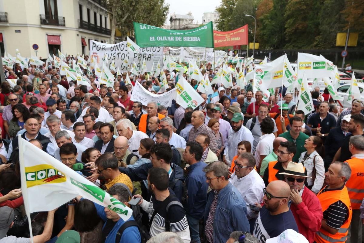 Córdoba se suma a la gran manifestación del olivar en Madrid