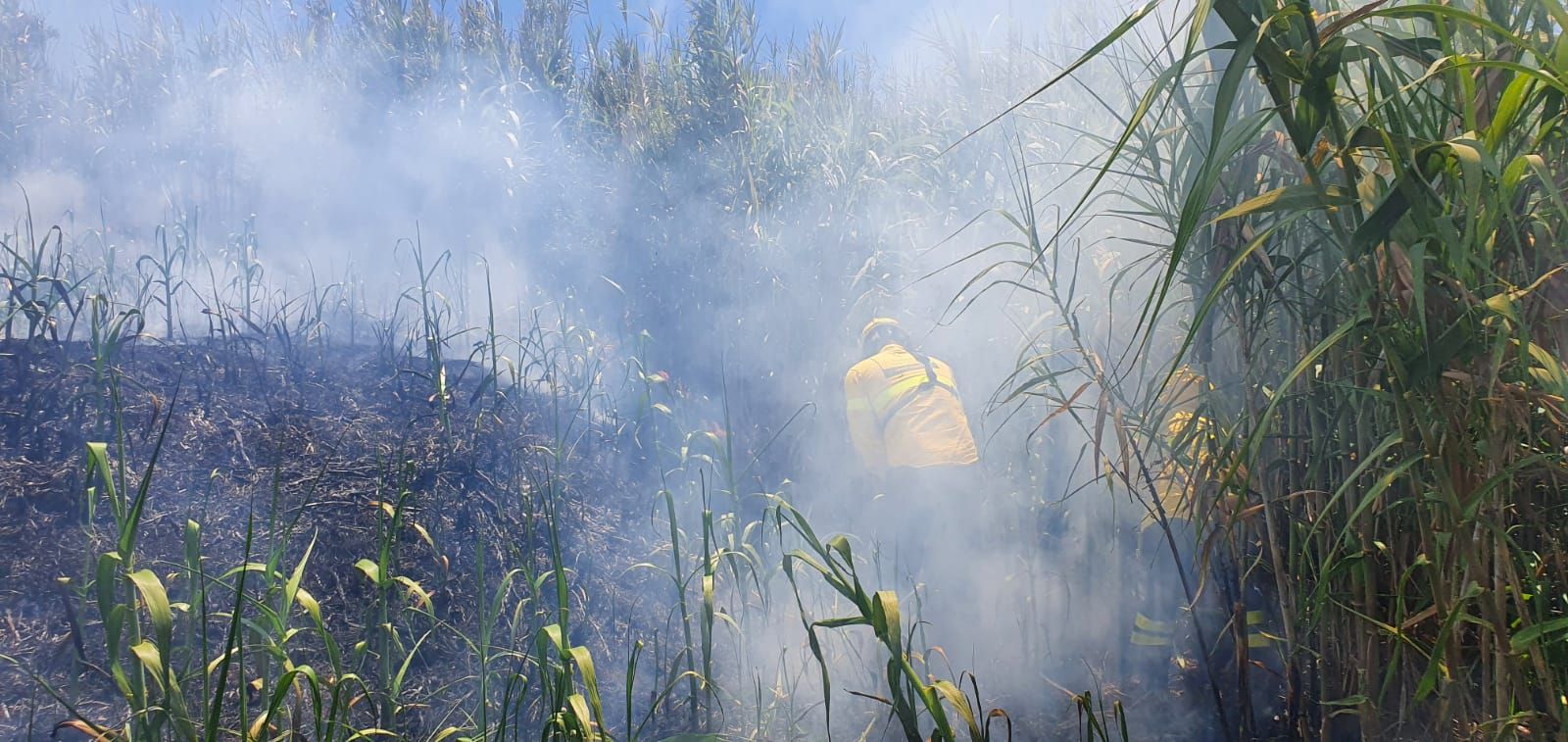 Conato de incendio en Pino Santo (27/06/21)