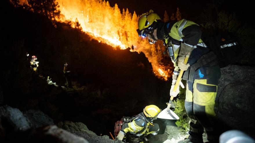 El fuego arrasa el mayor parque natural de Canarias y el hábitat de especies endémicas como el pinzón azul