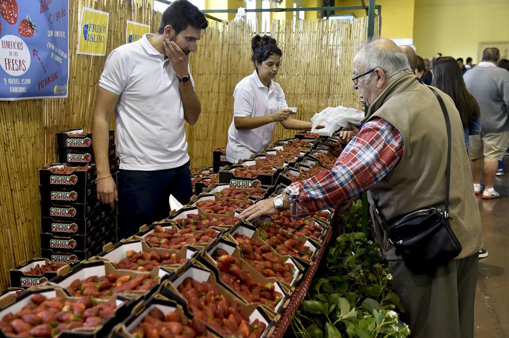 Feria de la fresa de Valsequillo, 2017