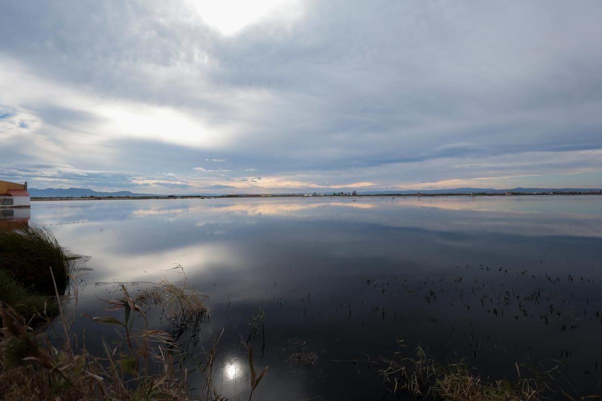 Imagen de l'Albufera