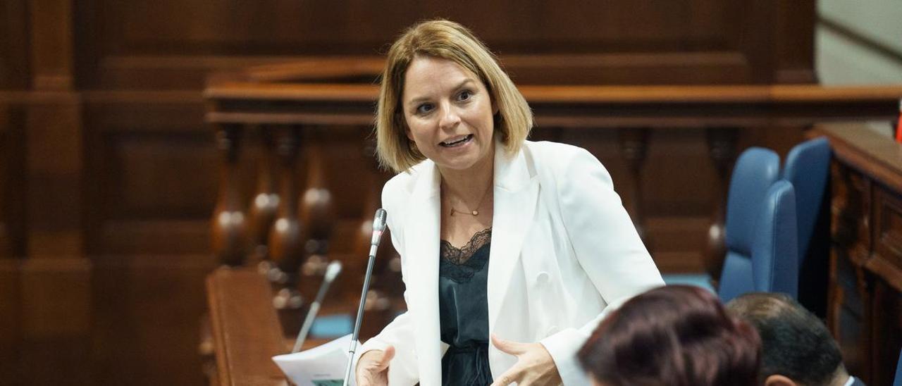 Noemí Santana, consejera de Derechos Sociales, en el Parlamento de Canarias.