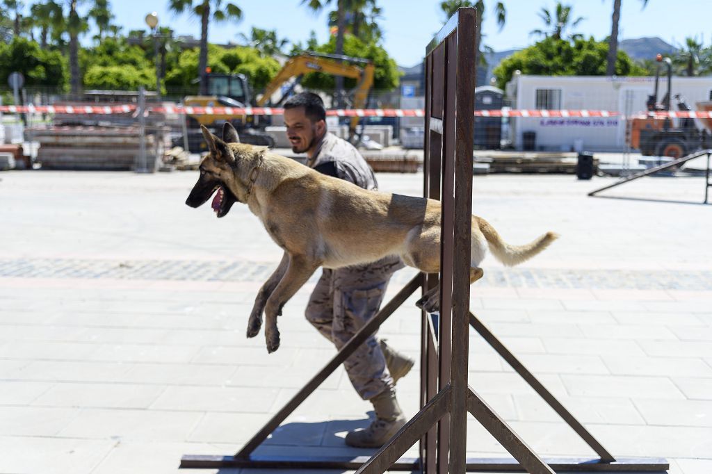 Día de las Fuerzas Armadas 2022 en Cartagena