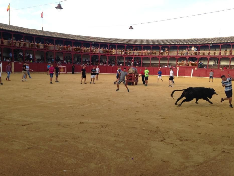 Fiestas Toro- concurso de jóvenes cortadores