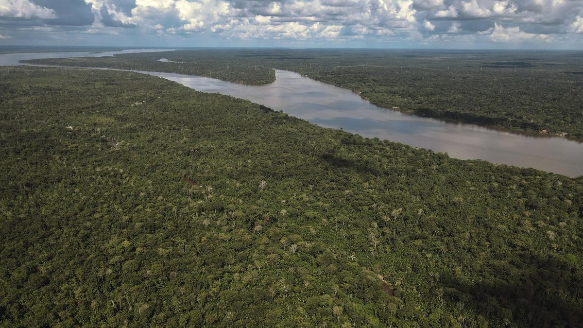 La Comisión Europea propondrá aplazar hasta 2026 la entrada en vigor de la ley contra la deforestación