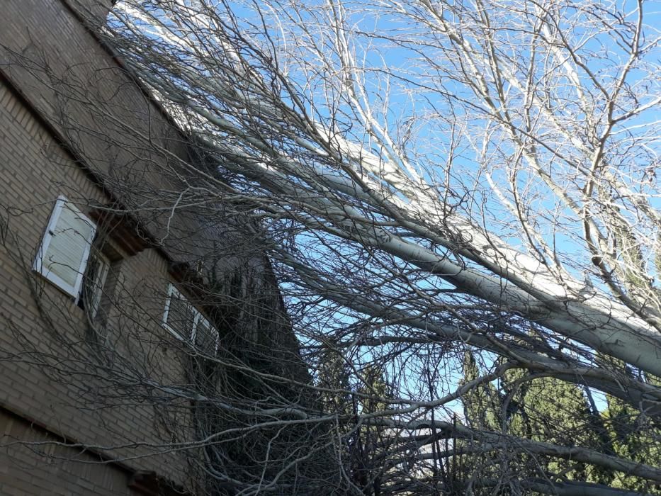 El viento causa desperfectos en Valencia