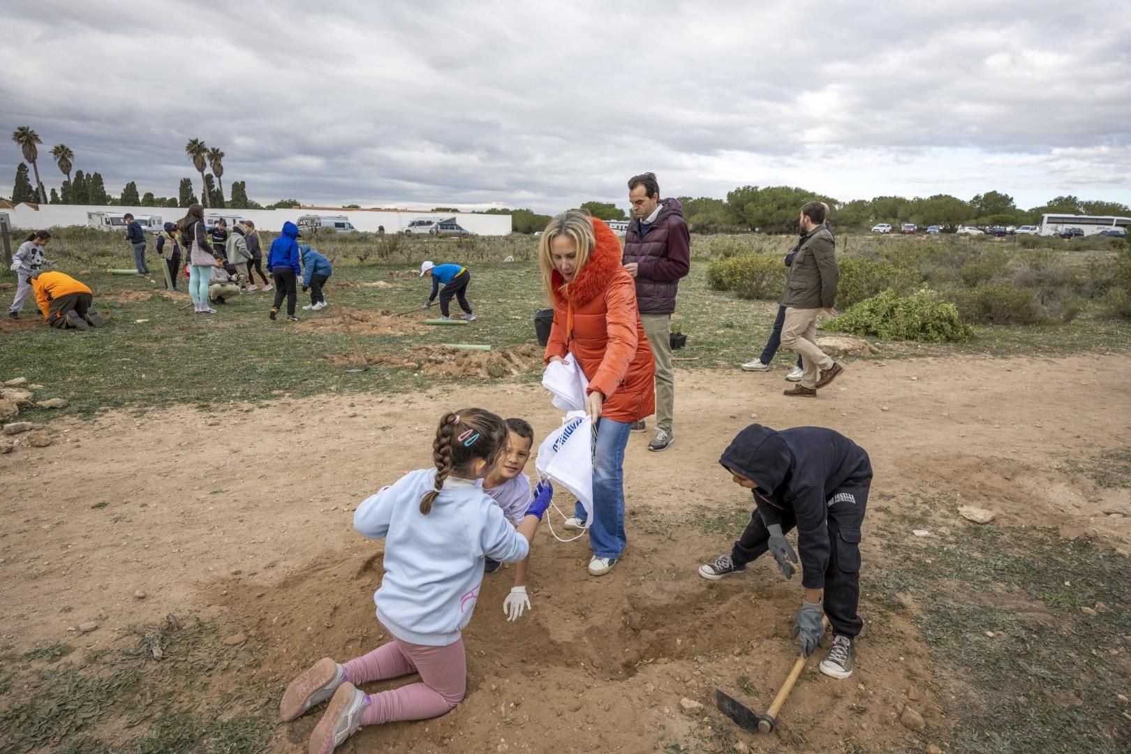Jornada escolar plantación de especies autóctonas junto al parque natural de las lagunas de Torrevieja y La Mata
