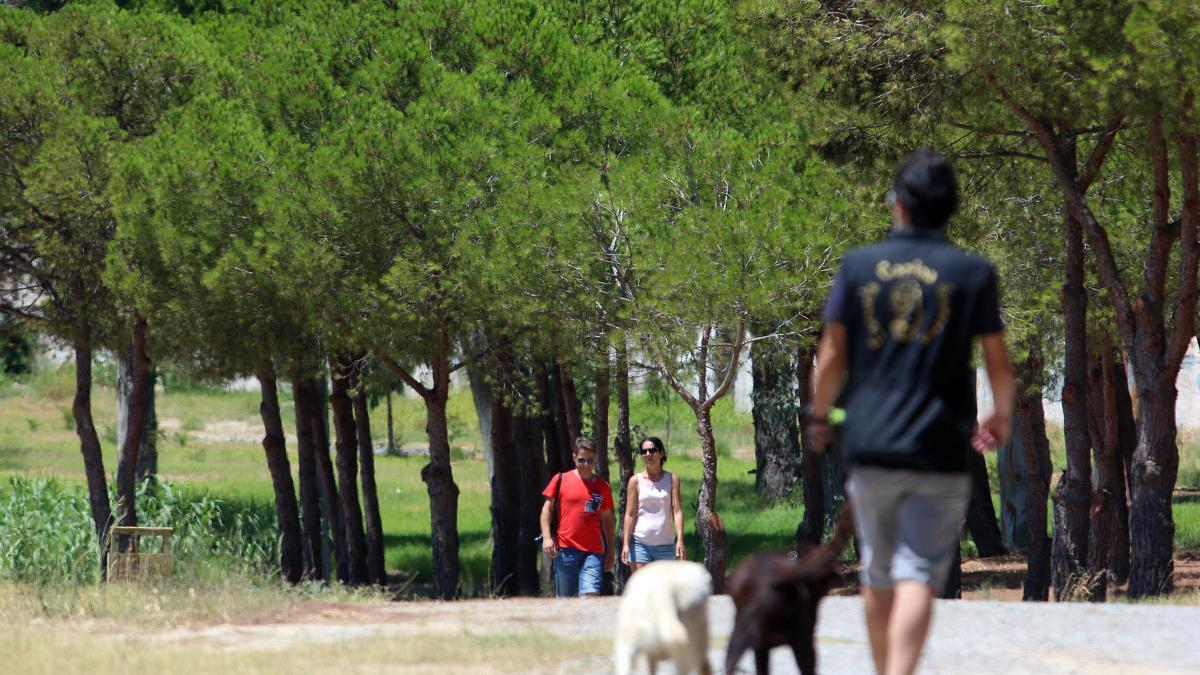 Terrenos del Campamento Benítez.