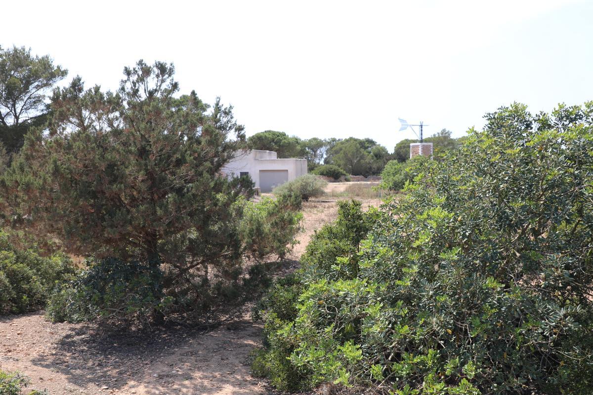 Finca de Cala Saona propiedad de Vestige