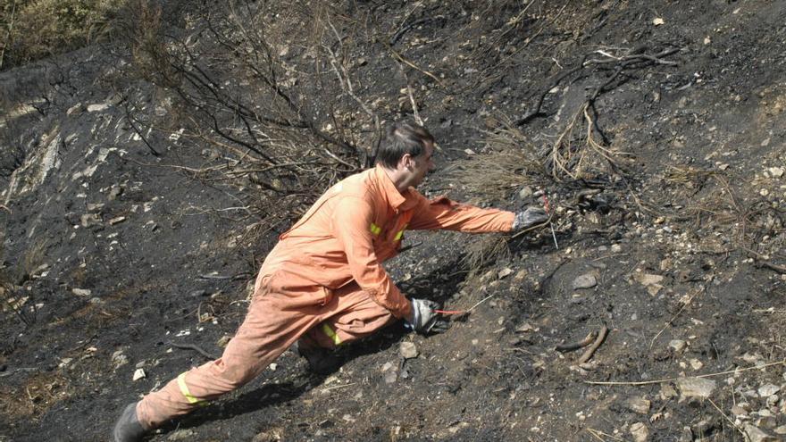 Un miembro de las Brigadas de Investigación de Incendios toma muestras en una superficie quemada en La Viliella, en la reserva de Muniellos.