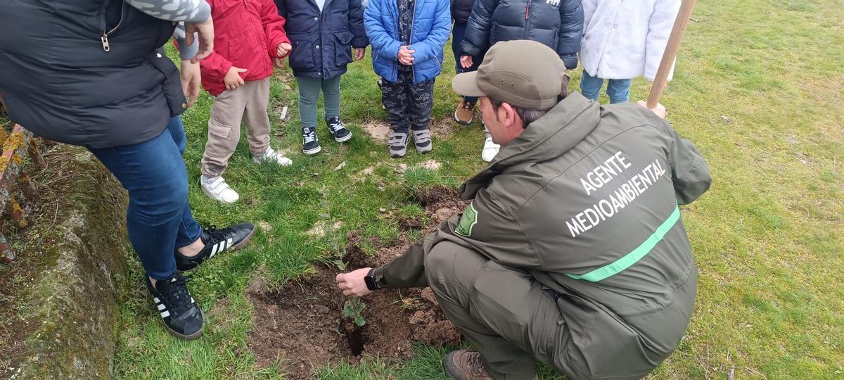 GALERÍA | Día del Árbol en Sayago con plantación de encinas y alcornoques GALERÍA | Día del Árbol en Sayago con plantación de encinas y alcornoques