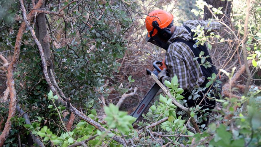 El Gironès, la Selva i la Garrotxa es troben entre les comarques de Catalunya on la vegetació està més seca