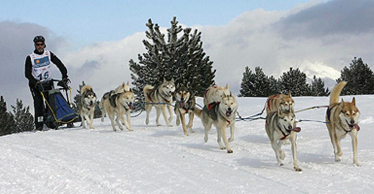 Un dels participants de l’edició de Pirena del 2010. Un dels participants de l’edició de Pirena del 2010.
