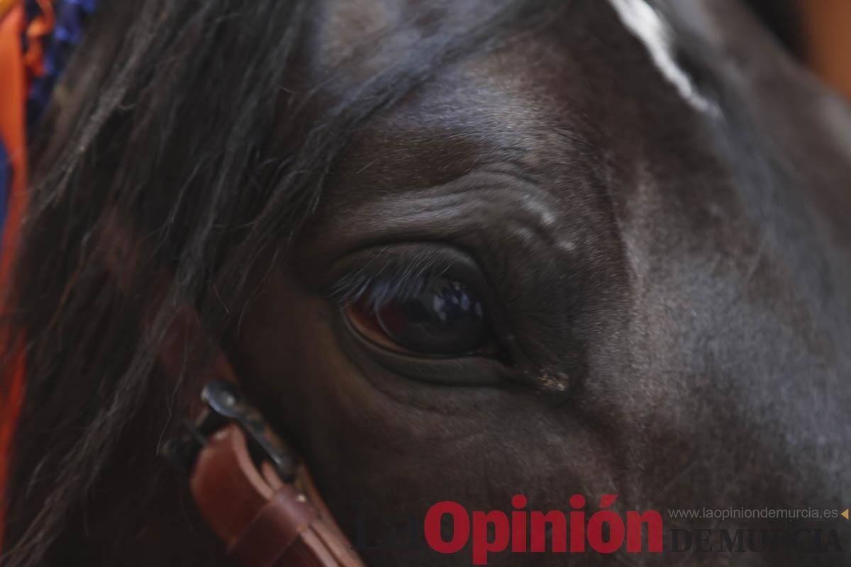 Concurso de caballo a pelo: pasacalles hasta el Hoyo en Caravaca