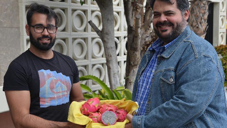 Simón Rodríguez Moreno y Antonio Hernández, unieron fuerzas para establecer la exótica pitahaya en el mercado local.