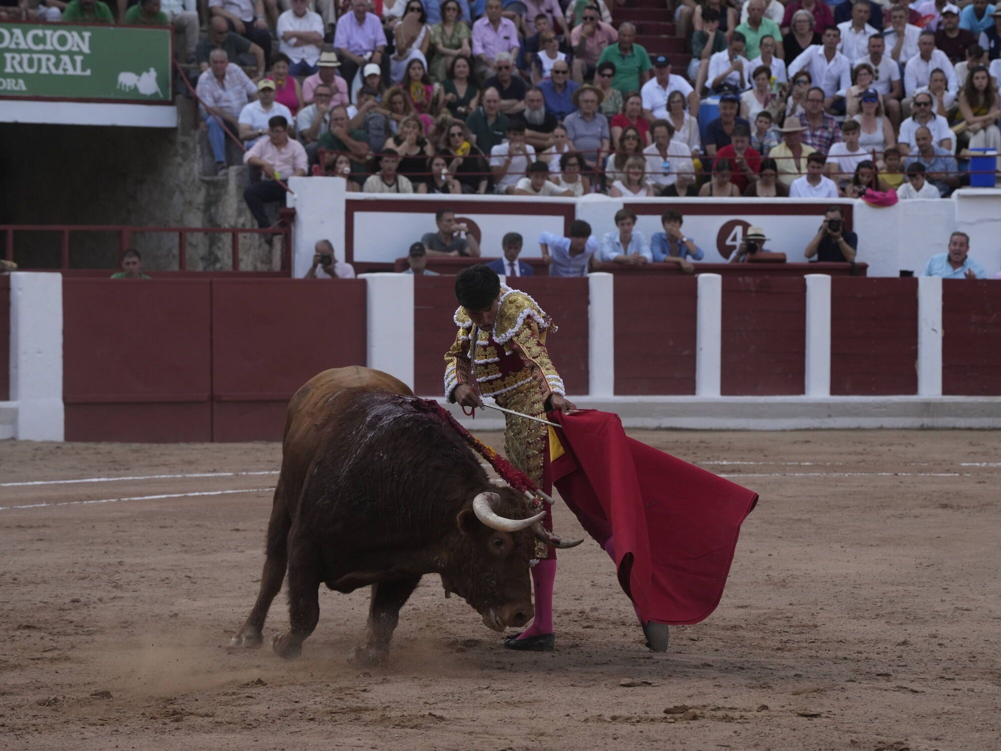 Las mejores imágenes de la feria taurina de San Pedro en Zamora.