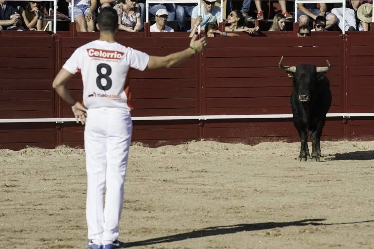 Concurso de cortes en la Plaza de Toros de Benaven