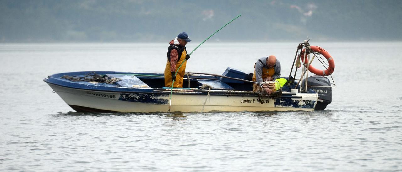 Participantes en la campaña arousana de libre marisqueo. |   //  NOÉ PARGA