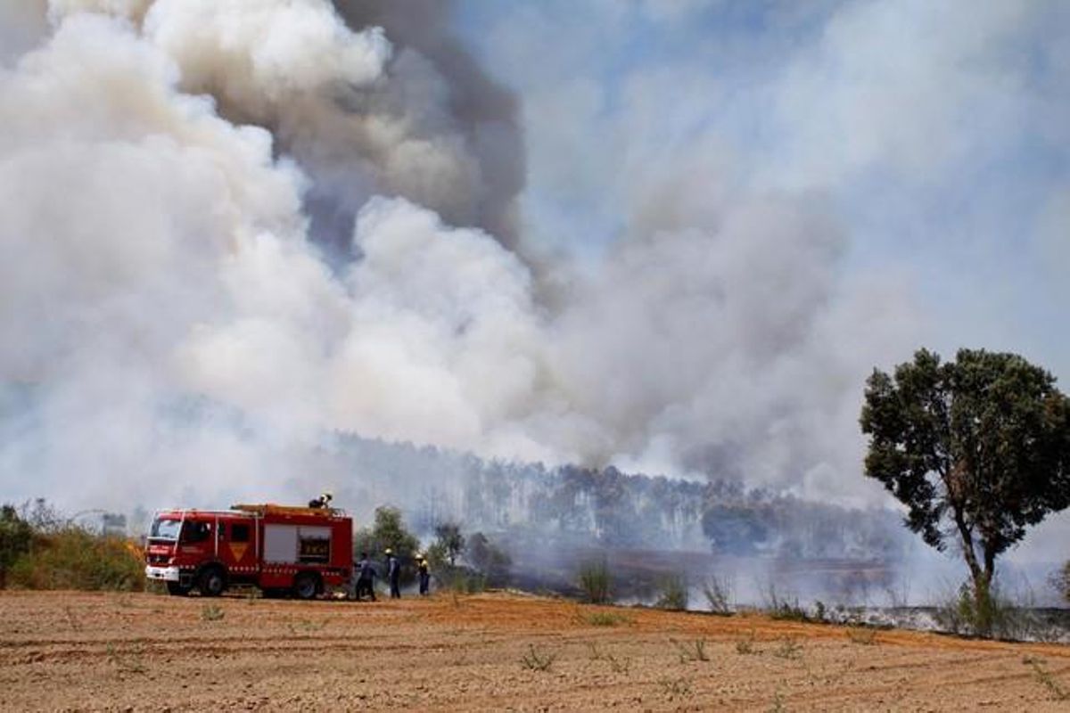 Tasques d’extinció del foc al Baix Empordà. Tasques d’extinció del foc al Baix Empordà.