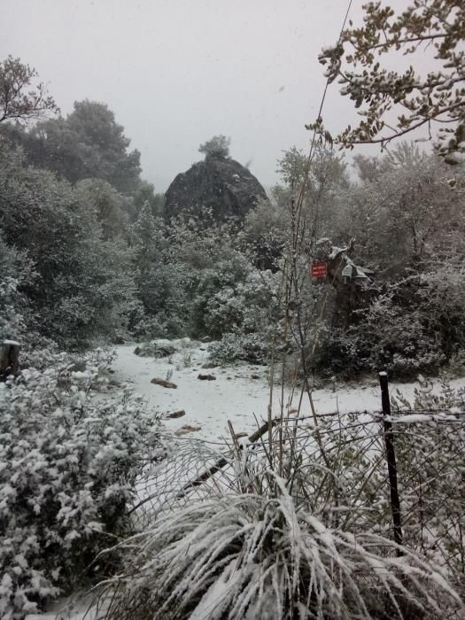 Im Laufe des Dienstagvormittags (17.1.) bedeckten die Flocken zunächst die höher gelegenen Bergpässe auf Mallorca, später auch die tiefer liegenden Gebiete der Insel. Gegen Mittag waren die ersten Strände im Inselnorden weiß bedeckt.