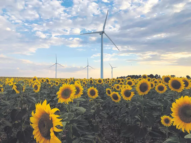 Ecosistemas esenciales para una economía sin emisiones