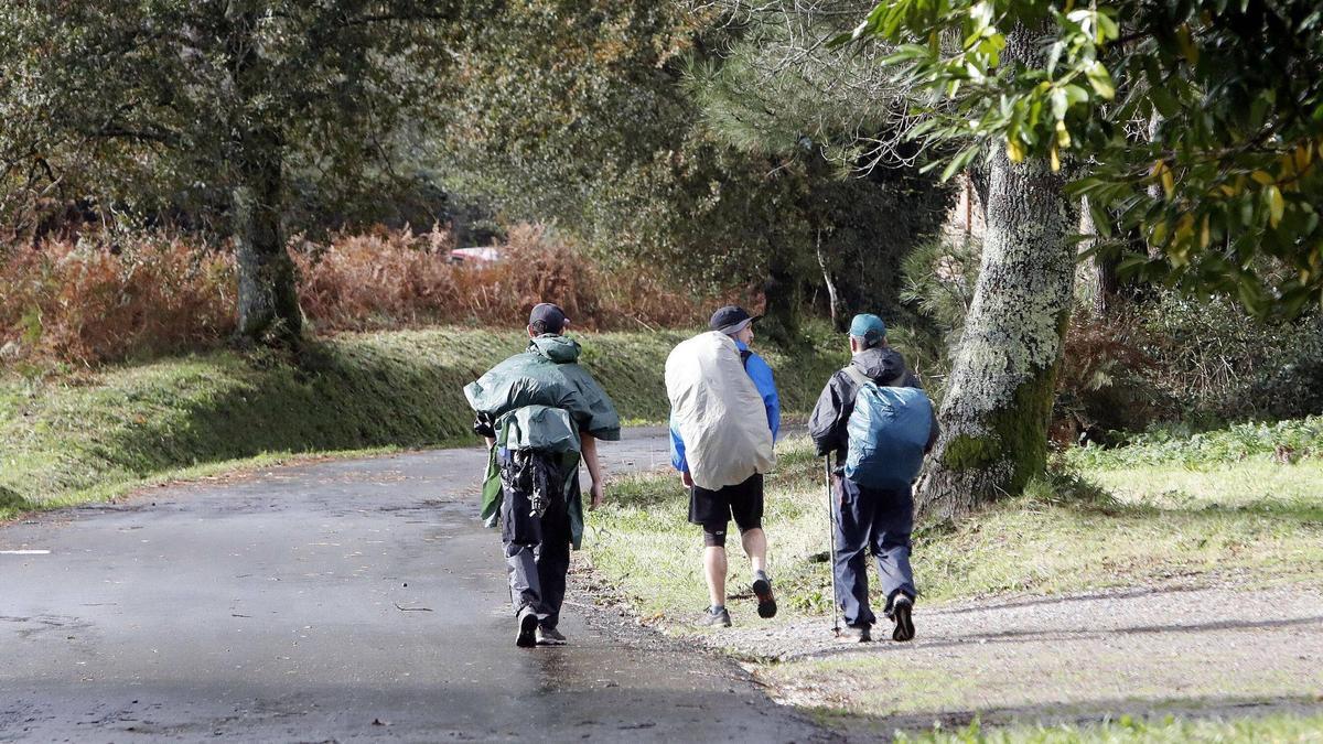 Un grupo de peregrinos pasa pola zona de Lavacolla, o pasado mes de novembro