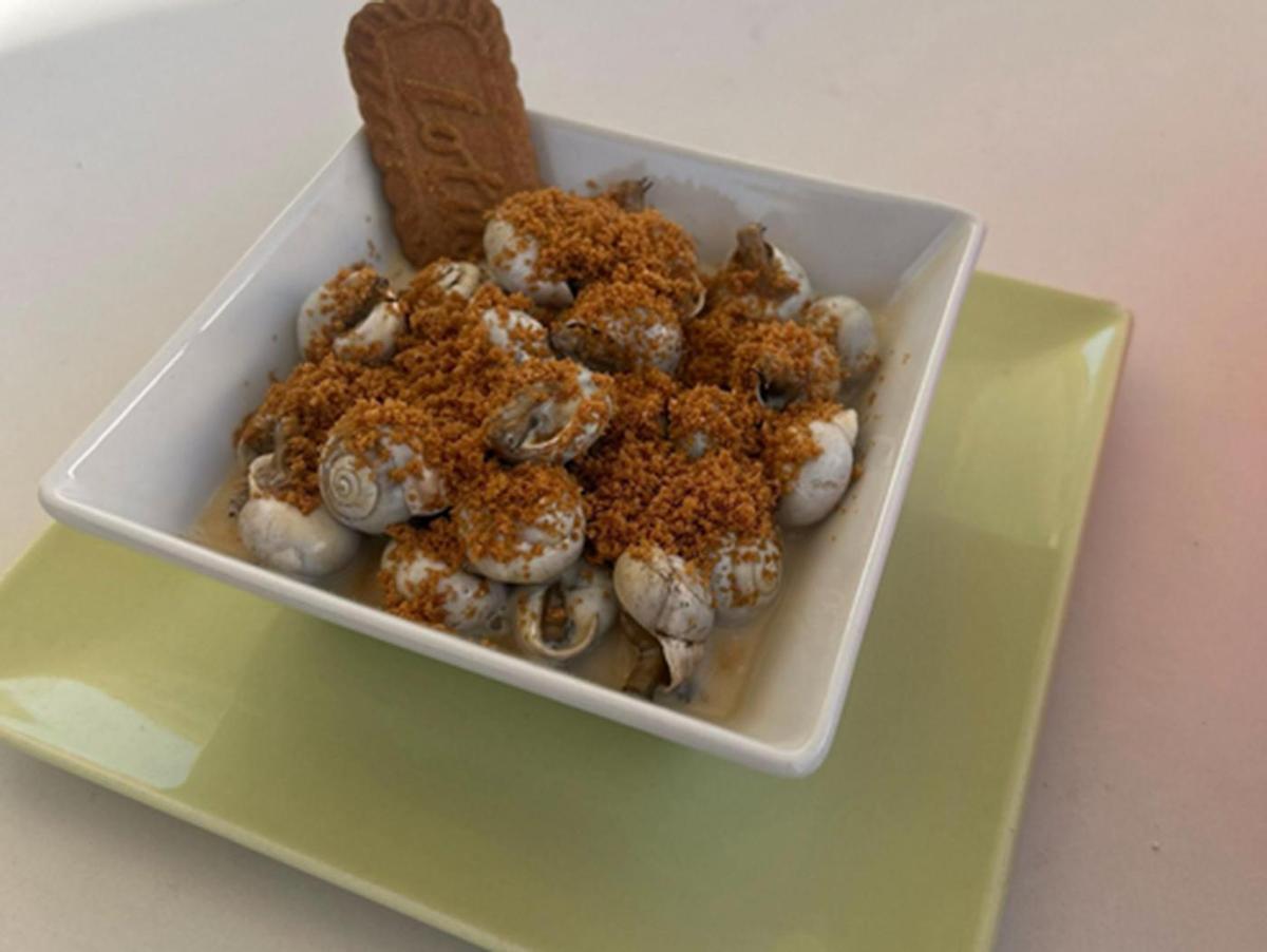 Caracoles Lotus de Caracoles La Sierra