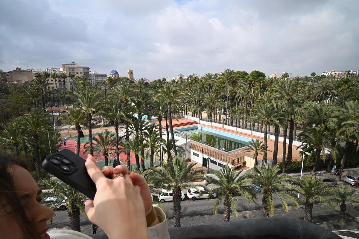 Una imagen que se observa desde el globo del Palmeral de Elche