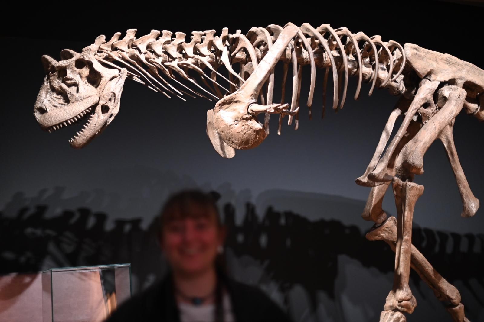 En imágenes | El dinosaurio más grande conocido conquista el Caixaforum de Zaragoza