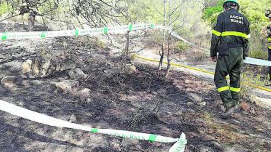 Agent Rural en un espai afectat per un foc forestal. | AGENTS RURALS
