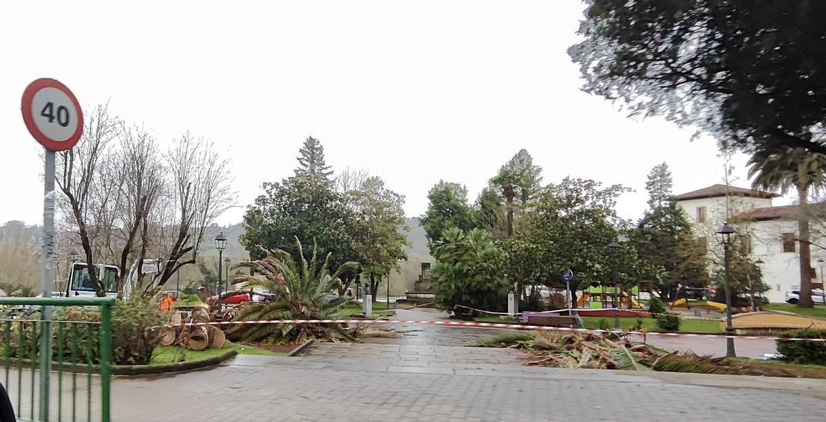 Vista del parque, este lunes, con una de las palmeras ya taladas.